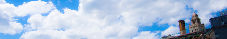 仮面ライダーに関しての情報を提供中