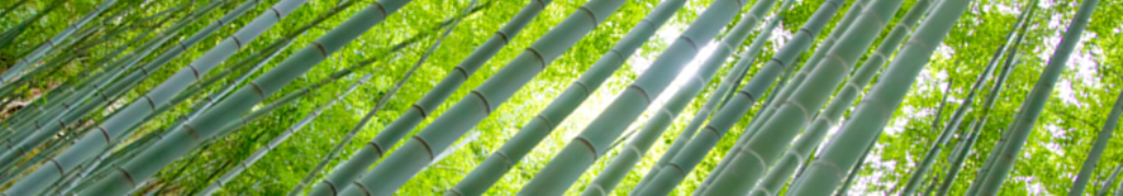 乃木坂、気になりませんか？