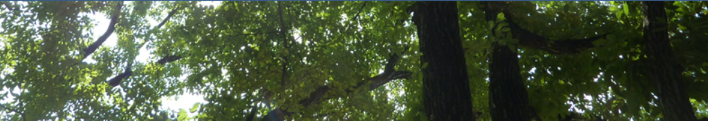 マーク バイ マークジェイコブス　の情報がたくさん！