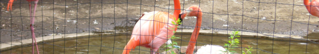 サッカーのココが気になる！！